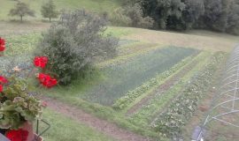 Gîte accueil paysan - Ferme Baud