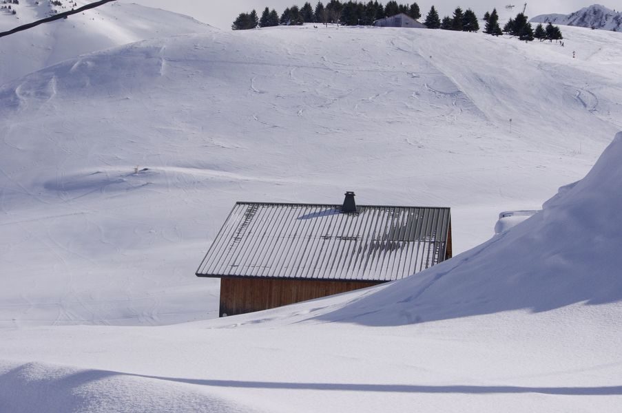 © Chalet Roche-Pallud - 90 m² - n°300 - Nicoud André