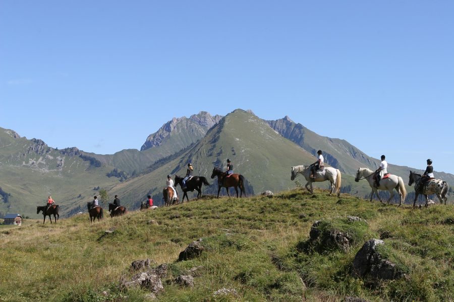 © La Grande Ourse ruitersportcentrum - La Grande Ourse