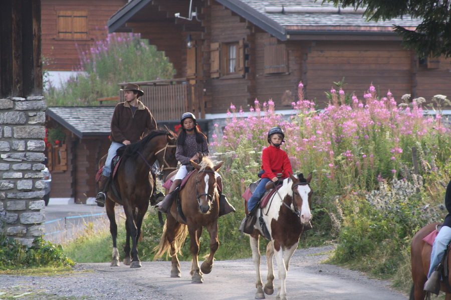 © La Grande Ourse ruitersportcentrum - La Grande Ourse