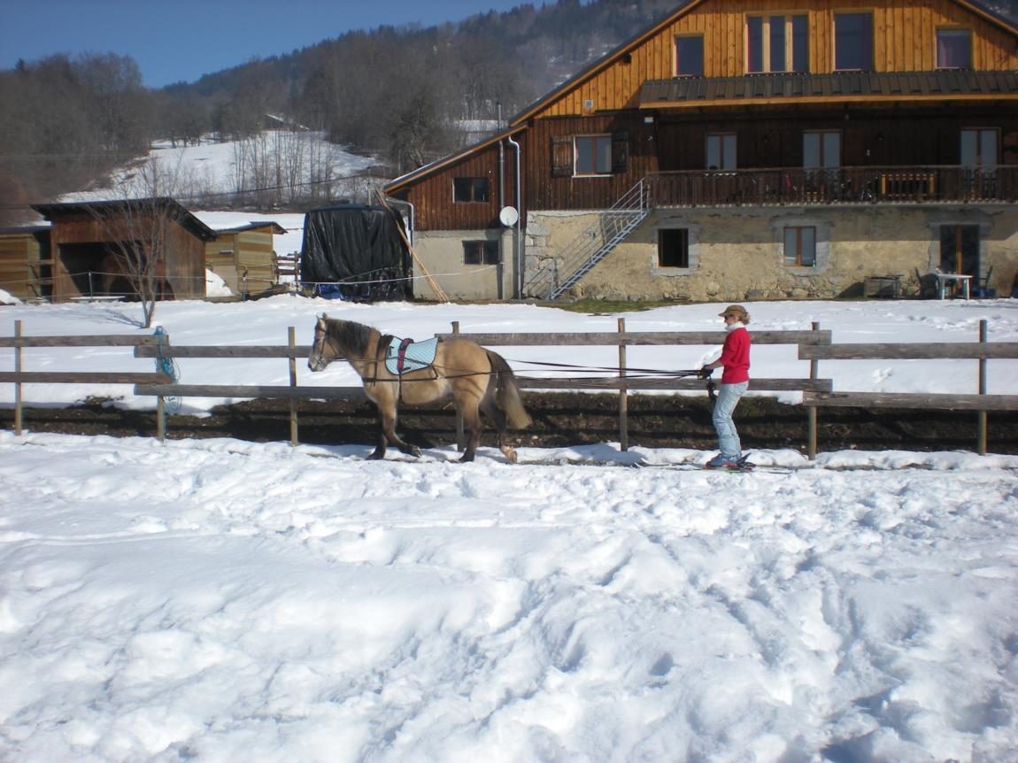 © Gite Les Paddocks du Mont-Blanc - Gite Les Paddocks du Mont-Blanc