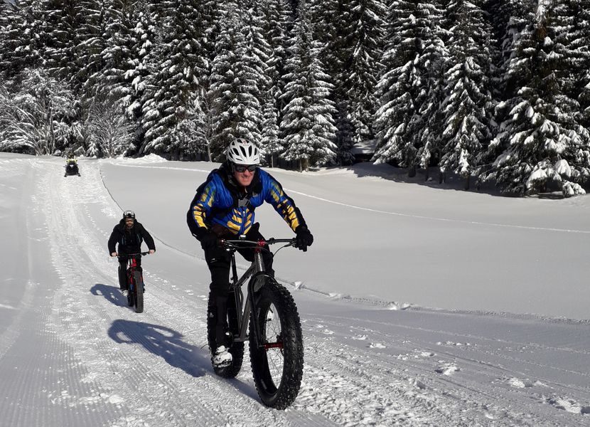 © Lustocht van de dennenbomen - Praz de Lys Sommand Tourisme