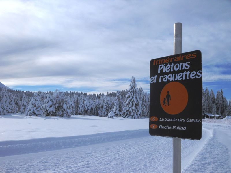 © Lustocht van de dennenbomen - Praz de Lys Sommand Tourisme