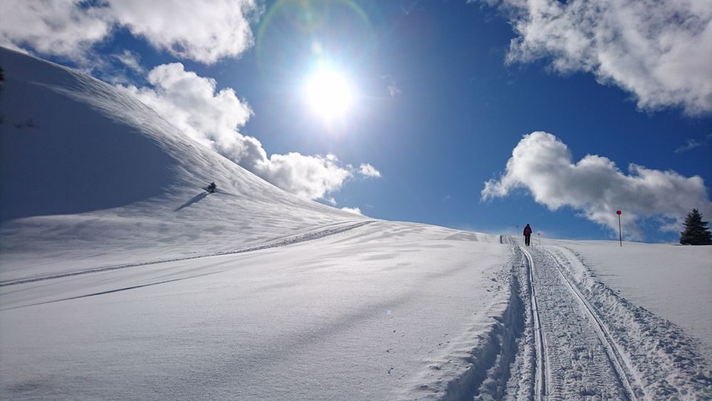 © Roche-Pallud - Praz de Lys Sommand Tourisme