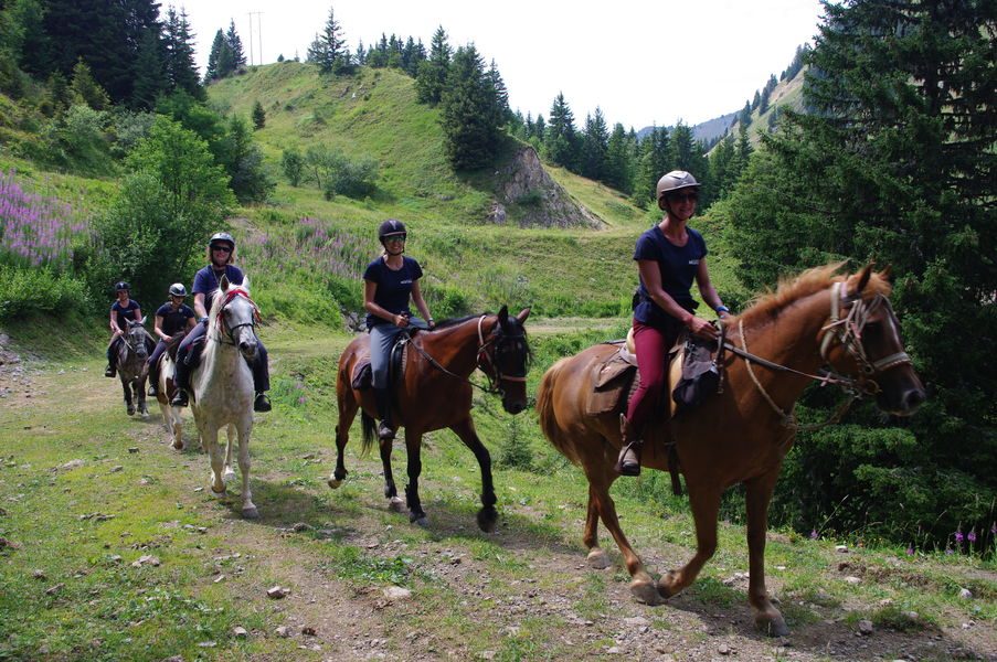 Les Paddocks du Mont Blanc ruitersportcentrum