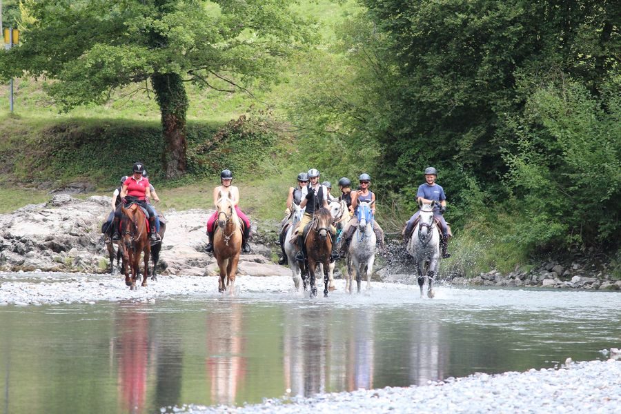 Les Paddocks du Mont Blanc ruitersportcentrum