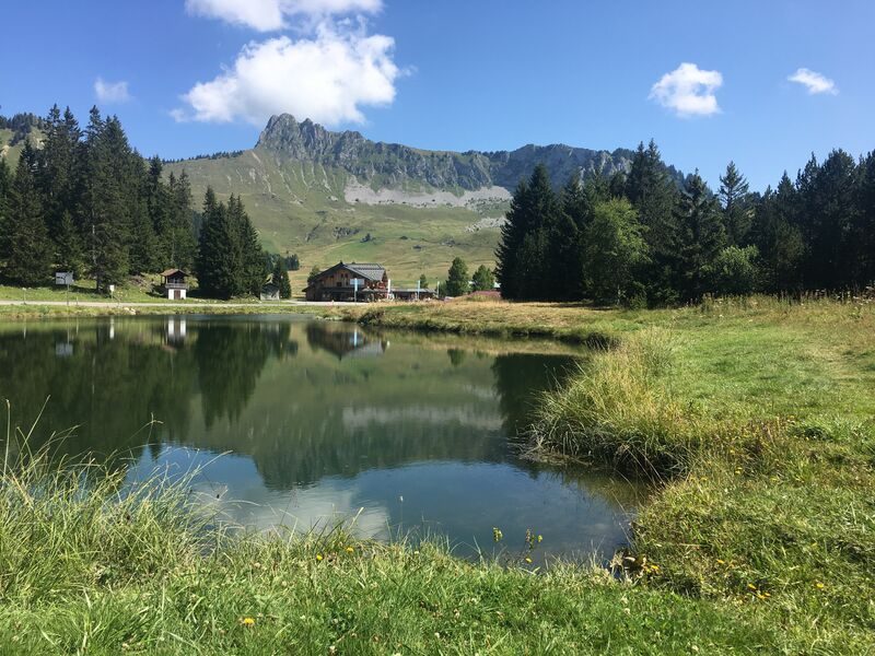 Vissen bij het Lac de Sommand