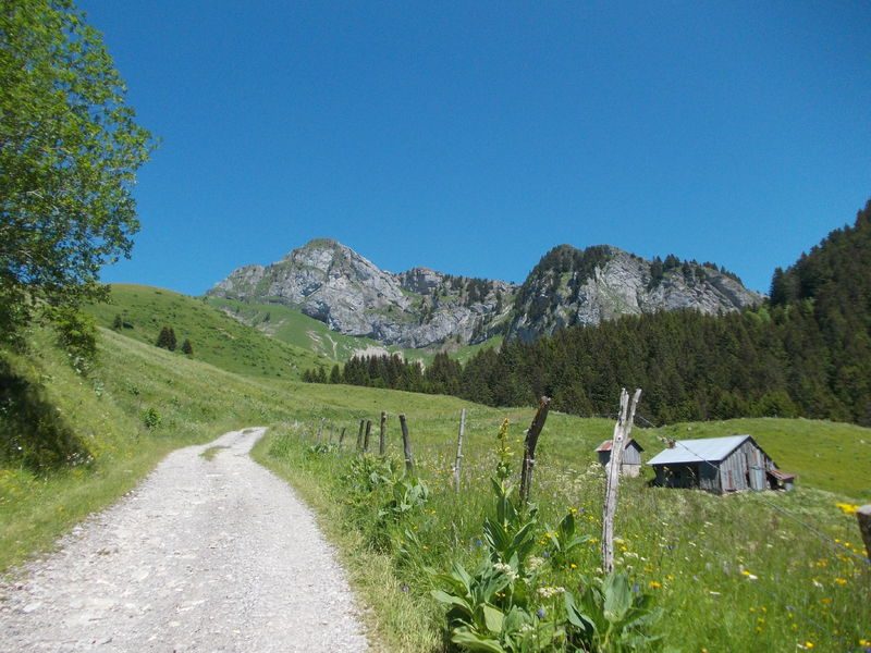 Alpenweide La Charmette