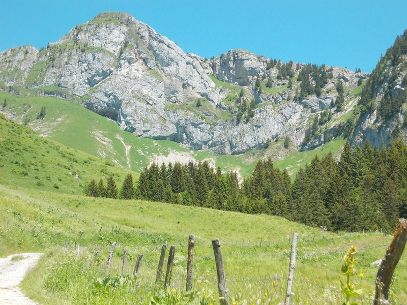 Alpenweide La Charmette