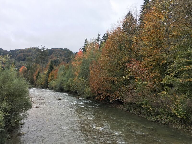 Vissen bij rivier Le Foron