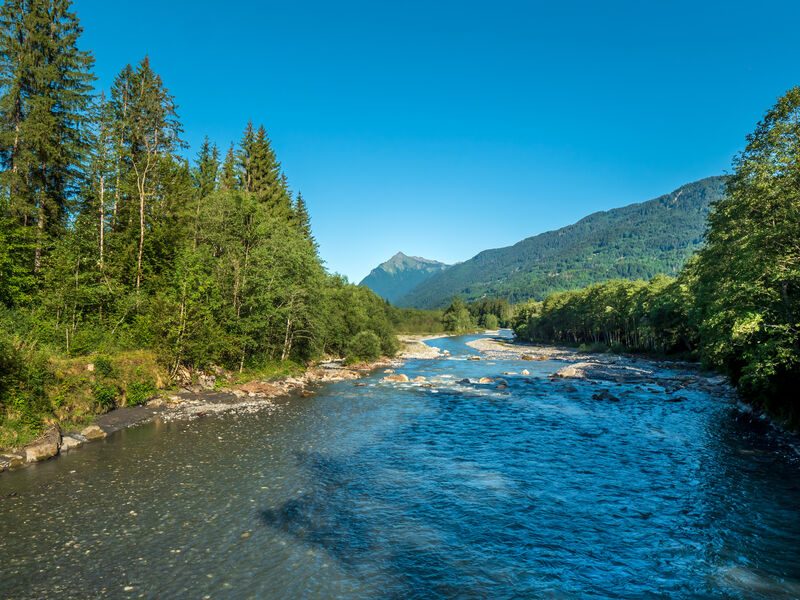 © Vissen bij rivier de Giffre - Gilles Piel